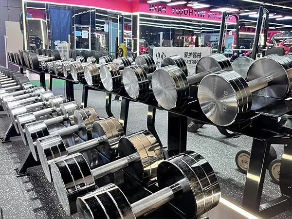 Commercial Gym