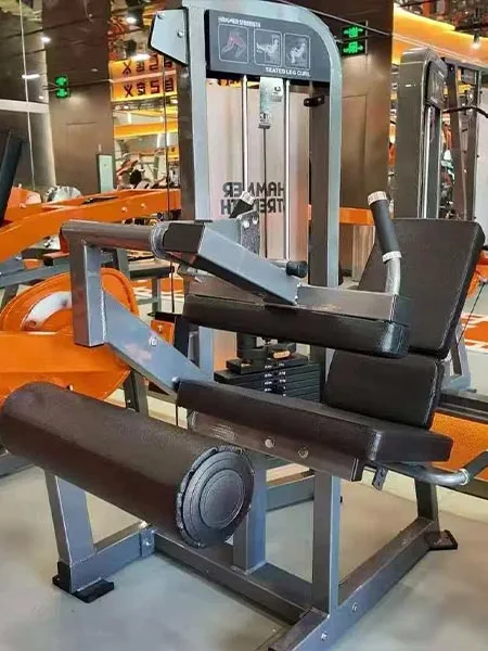 Commercial Gym