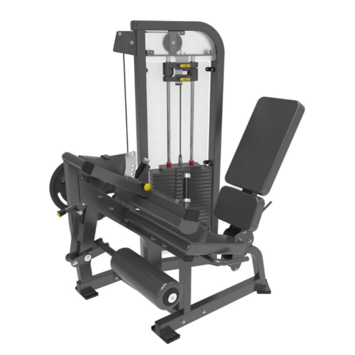 Hankaren luzapena Leg Curl