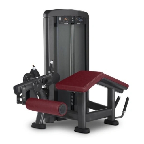 Etzanda Hankak Curl Makina